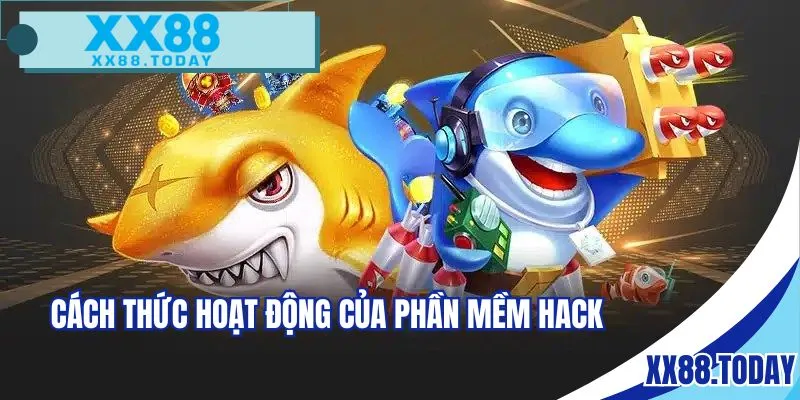 Cách thức hoạt động của phần mềm hack